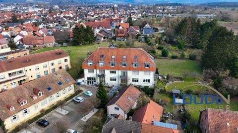 Teningen Wohnungen, Teningen Wohnung kaufen