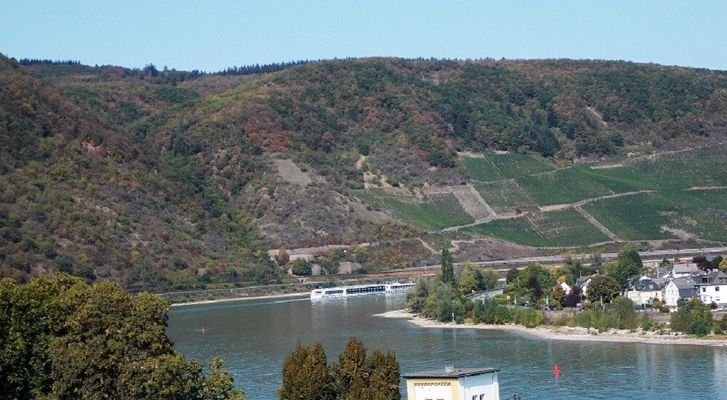 wunderschöner Rheinblick von der Terrasse 