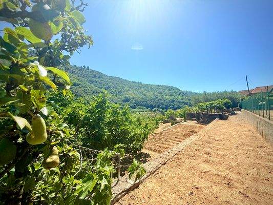 DA_1037_TERRA ITALIA IMMOBILIEN_REAL ESTATE_DOLCEA