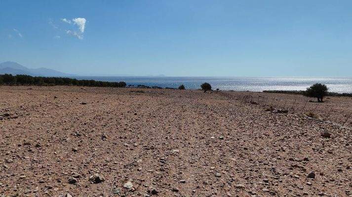 Kreta, Skaloti: Großes Baugrundstück mit Meer- und Bergblick an der Südküste