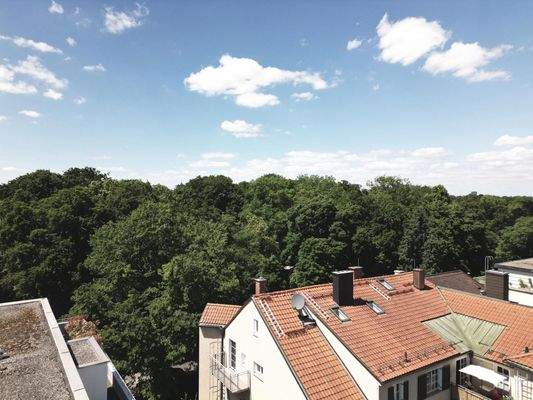 Bild 17