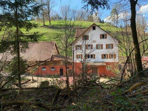 Nähe Wildberg/Nagold Bauernhöfe, Landwirtschaft, Nähe Wildberg/Nagold Forstwirtschaft