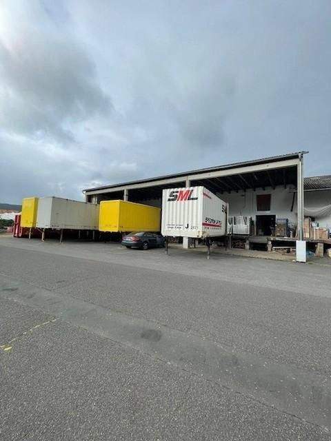 Klingenberg Halle, Klingenberg Hallenfläche