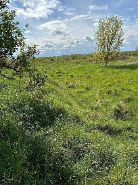 Wismar Grundstücke, Wismar Grundstück kaufen