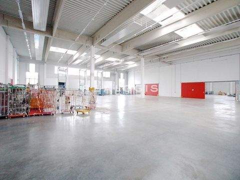 Hochstadt am Main Halle, Hochstadt am Main Hallenfläche