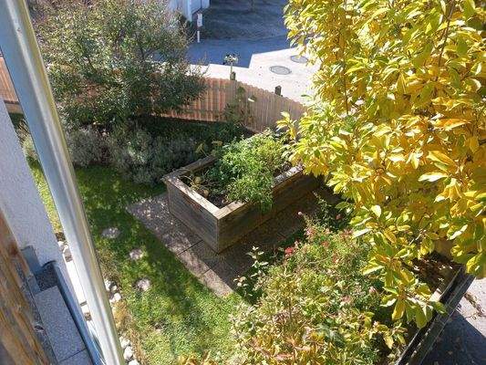 Blick in den Garten West