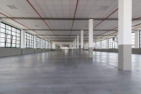 Greven Halle, Greven Hallenfläche