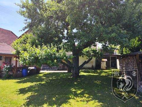 Herbrechtingen Häuser, Herbrechtingen Haus kaufen