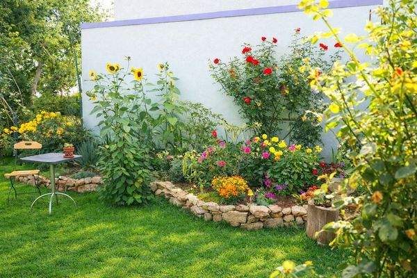 Garten im Sommer