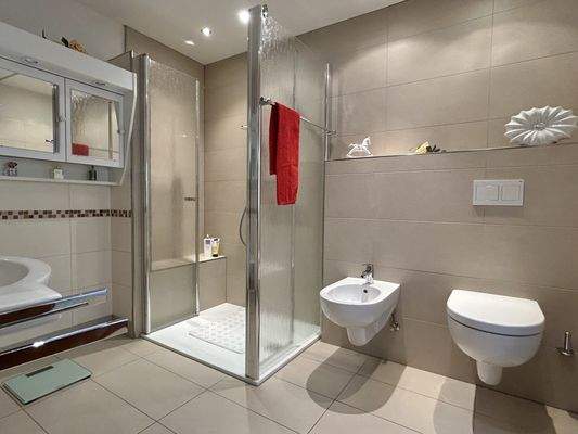 modernes Tageslichtbad im vorderen Wohnhaus