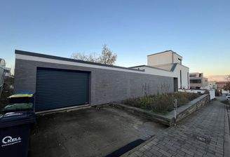 Garageneinfahrt und Haus