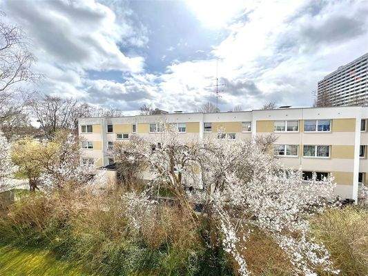 Aussicht Süden_8918