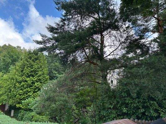 Teilansicht von der Straße