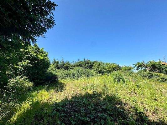 Nutzen Sie das Potential!