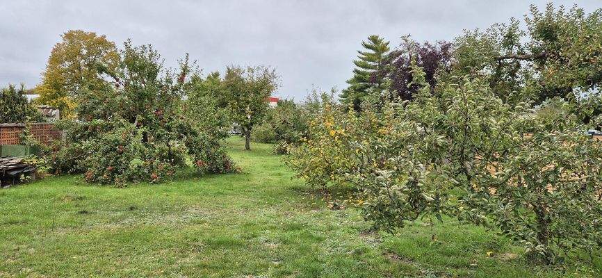 Blick von der Terrasse