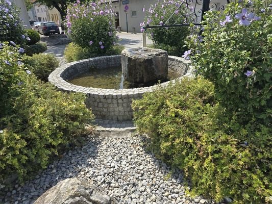 Brunnen auf der Straße vor dem Haus