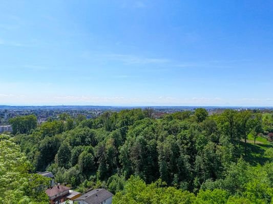 26_DJI_20250430122754_0284_D