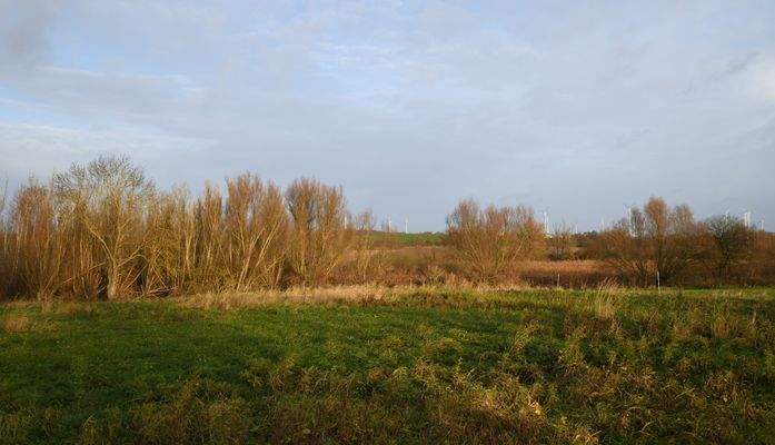 Blick zum Baumgartener See