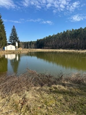 Fischweiher