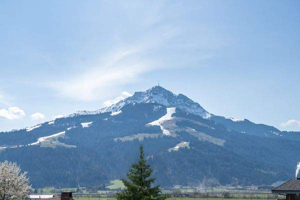 HORNBLICK