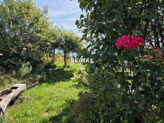 Garten mit Brunnenwasser