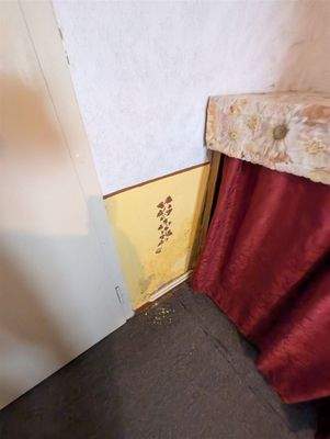 PXL_20250427_130346509