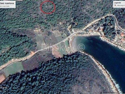 Milna Bauernhöfe, Landwirtschaft, Milna Forstwirtschaft