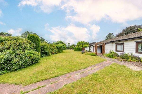 Eingewachsener Garten