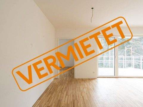 Nettingsdorf Wohnungen, Nettingsdorf Wohnung mieten