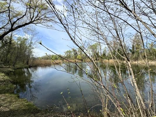 Ufer des Mühlwassers nur 20m v.d.Einfahrt entfernt