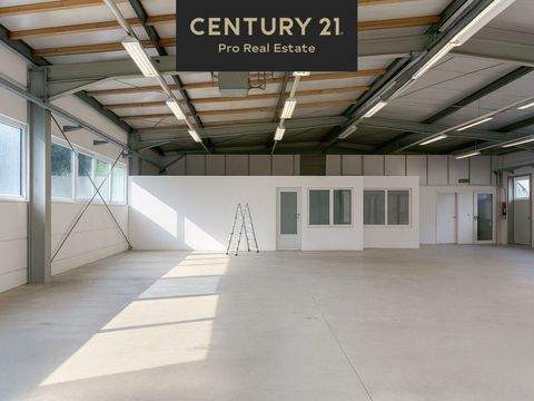 Strausberg Halle, Strausberg Hallenfläche