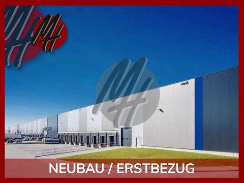 Leipzig Halle, Leipzig Hallenfläche