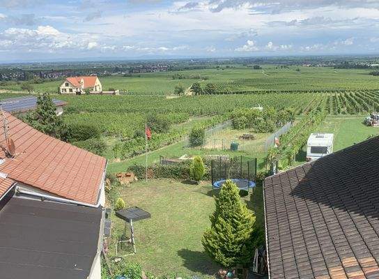 Aussicht bis zum Odenwald