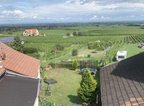Burrweiler Häuser, Burrweiler Haus kaufen