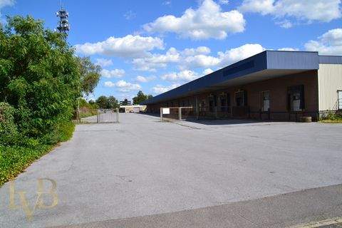 Gronau Halle, Gronau Hallenfläche