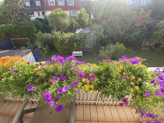 Wohnung Obergeschoss