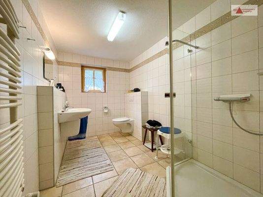 Tageslichtbad mit Dusche Souterrain