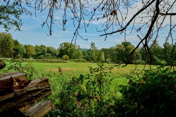 Blick ins Grüne