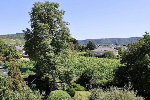 Ausblick Wohnung Nr. 5 im DG