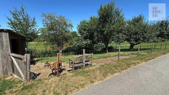 Grundstück gegenüber (2)