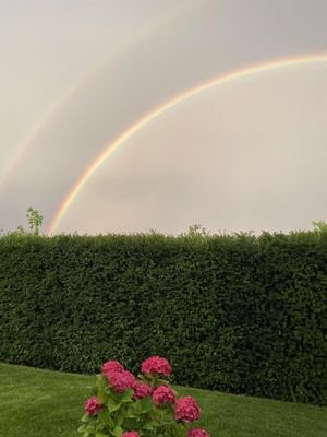 Regenbogen