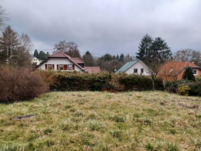 Geräumiges Anwesen mit sep. Einliegerbereich und herrlichem Areal in Waldesch