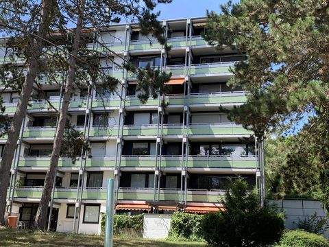 Schweinfurt Wohnungen, Schweinfurt Wohnung kaufen