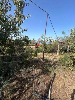 WhatsApp Image 2024-09-06 at 10.30.37 (2).jpeg