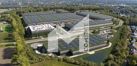 Dortmund Halle, Dortmund Hallenfläche