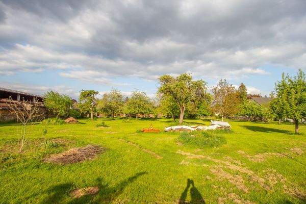 250511_Grundstück Königseggwald-14