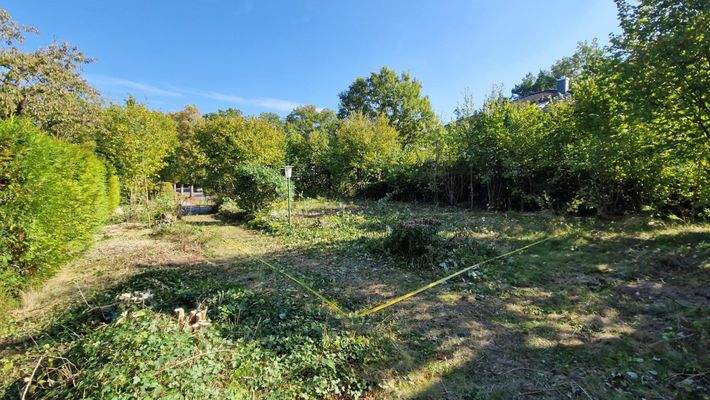 vorderer Grundstücksteil mit Baufenster (gelbe Markierung)