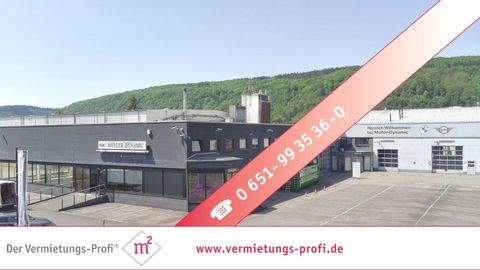 Trier / Euren Büros, Büroräume, Büroflächen 