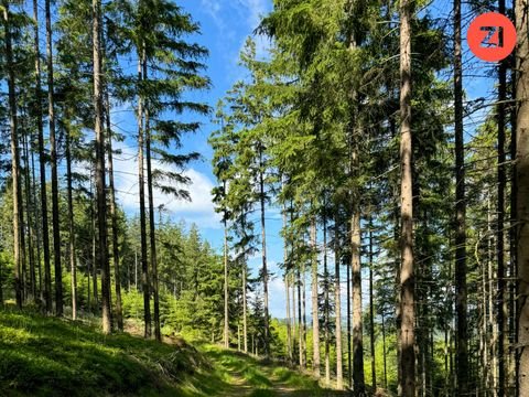 Rehberg Bauernhöfe, Landwirtschaft, Rehberg Forstwirtschaft