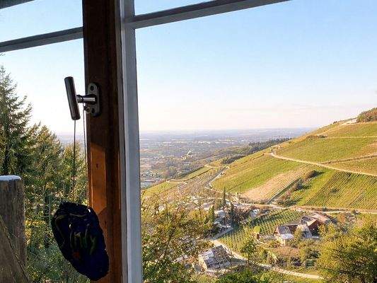 Weitere Aussicht aus den Fenstern